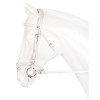 Horka Bridle PVC Flashy