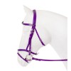 Horka Bridle PVC Flashy