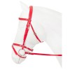 Horka Bridle PVC Flashy