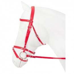 Horka Bridle PVC Flashy