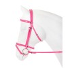 Horka Bridle PVC Flashy