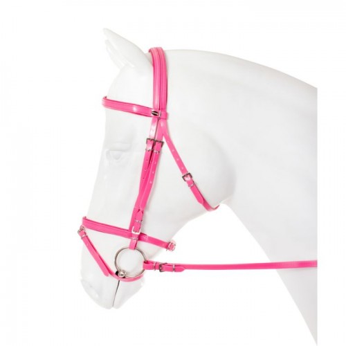 Horka Bridle PVC Flashy