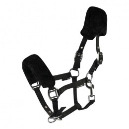 Horka Halter Foal with fur