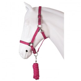 Horka Headcollar Set Dime