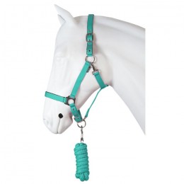 Horka Headcollar Set Dime