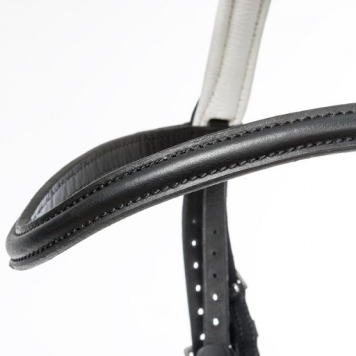 Kavalkade bridle Quentin