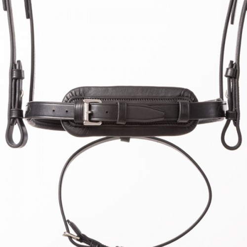 Kavalkade Bridle Robin