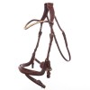 Kavalkade Bridle Caliano