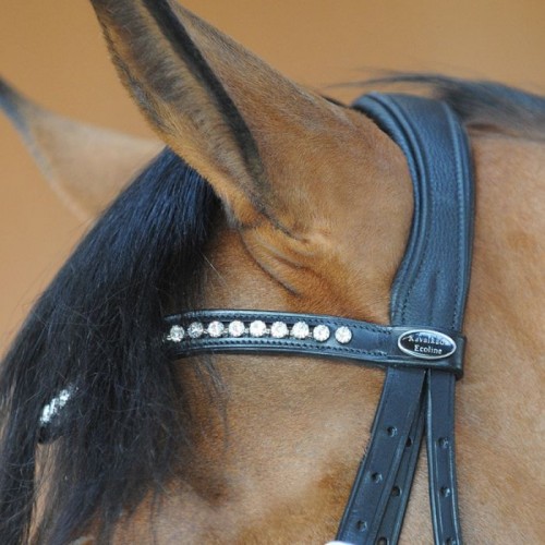 Kavalkade bridle Diana IR