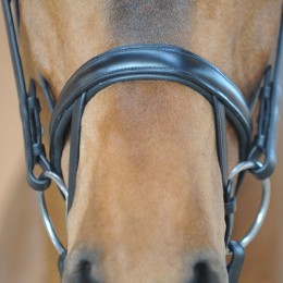 Kavalkade bridle Diana IR