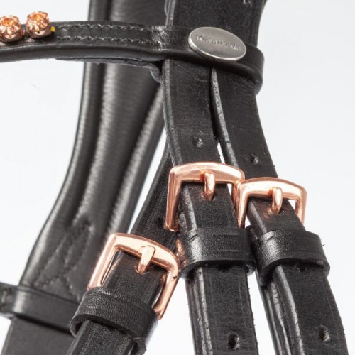 Kavalkade bridle Rose