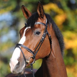 Kavalkade Bridle SH4 Ella