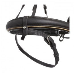 Kavalkade Bridle Cortica Vegan