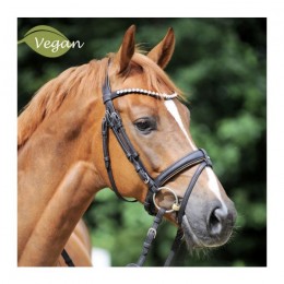 Kavalkade Bridle Cortica Vegan