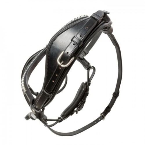 Kavalkade Bridle Ayana