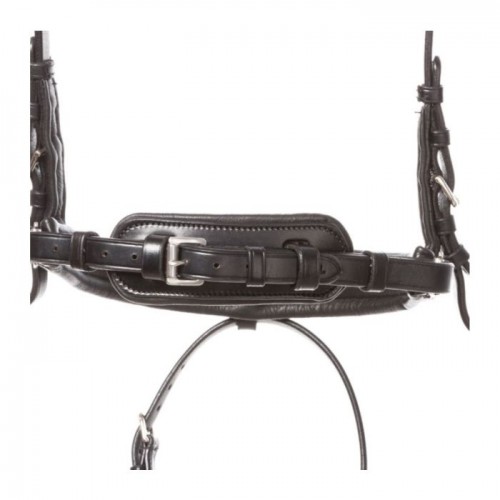 Kavalkade Bridle Ayana