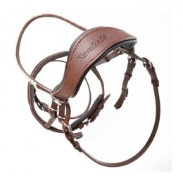 Kavalkade Bridle Everness