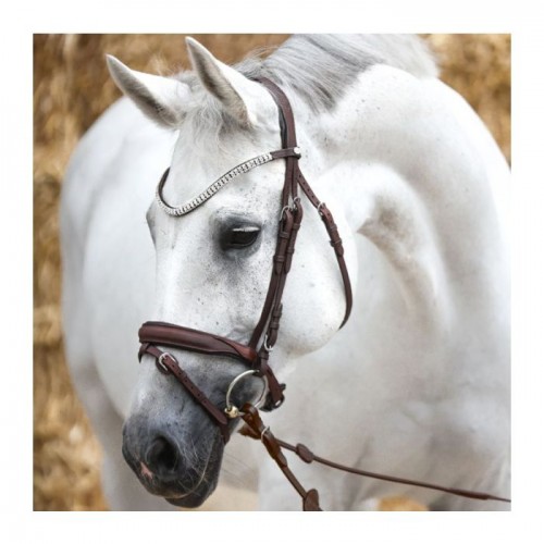 Kavalkade Bridle Everness