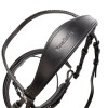 Kavalkade Bridle Victoria