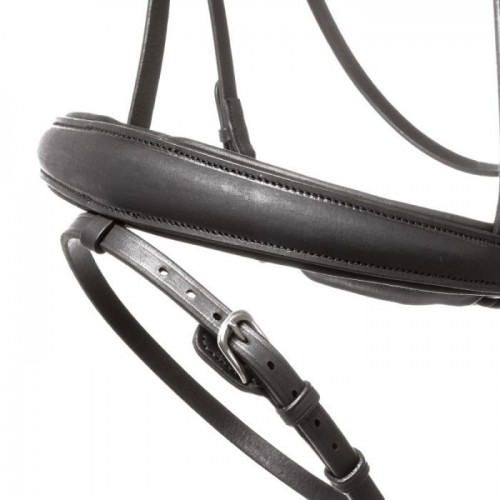 Kavalkade Bridle Everlyn