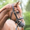 Kavalkade Bridle Everlyn