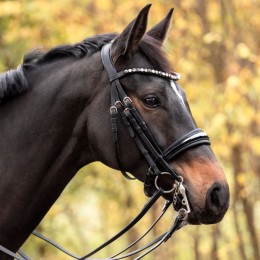 Kavalkade Weymouth Bridle Selina