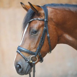 Kavalkade Ivonne Combi Bridle Snaffle and Double