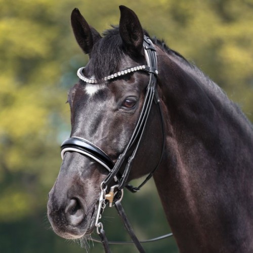Kavalkade Double Bridle Fleur