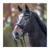 Kavalkade Double Bridle Fleur