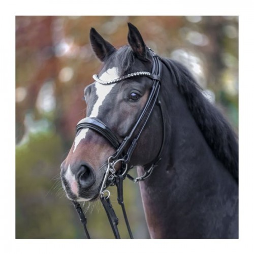 Kavalkade Double Bridle Fleur