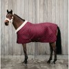Kentucky Show rug 160g