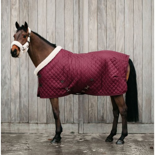 Kentucky Show rug 160g