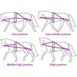QHP Lunging aid rein