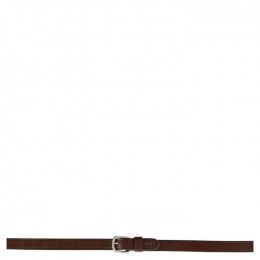 BR Reins Biothane Cinderford