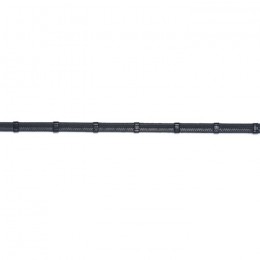 Trust Maastricht reins