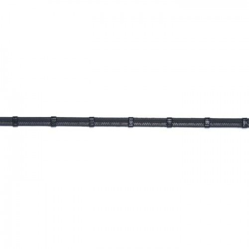 Trust Maastricht reins