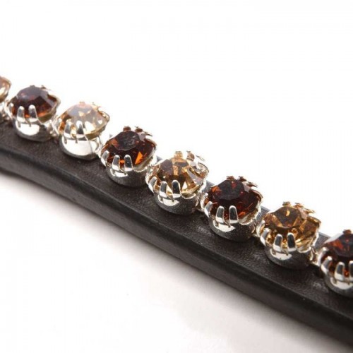 Kavalkade Browband Splendid