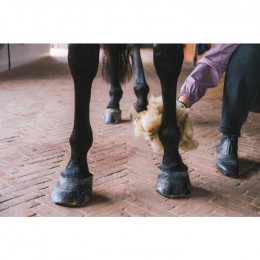 Grooming Deluxe Therapeutic Wool 150g