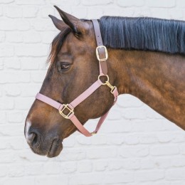 Kentucky Nylon Halter Breakaway