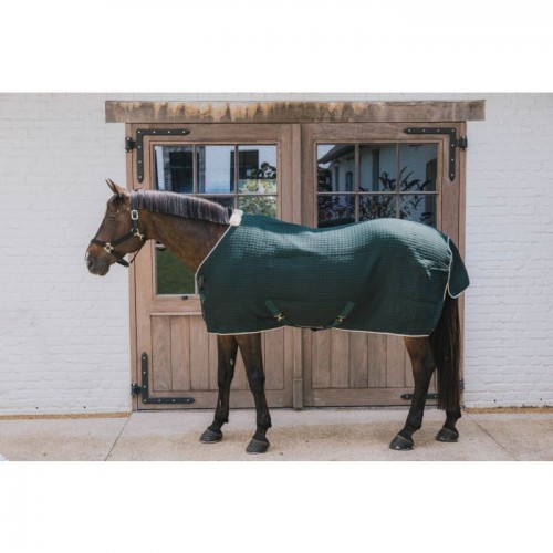 Kentucky Cooler Rug PROtherm