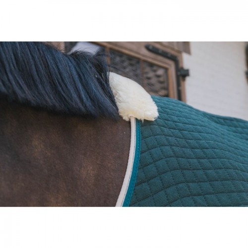Kentucky Cooler Rug PROtherm