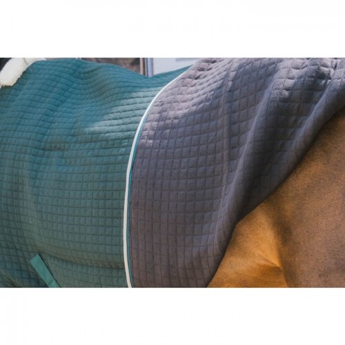 Kentucky Cooler Rug PROtherm