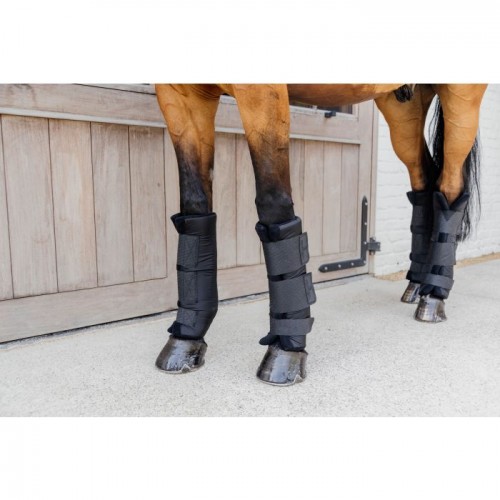 Kentucky Stable Boots PROtect Classic Front