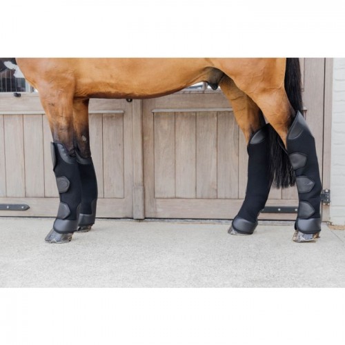 Kentucky 3D Spacer Travel Boots Hind