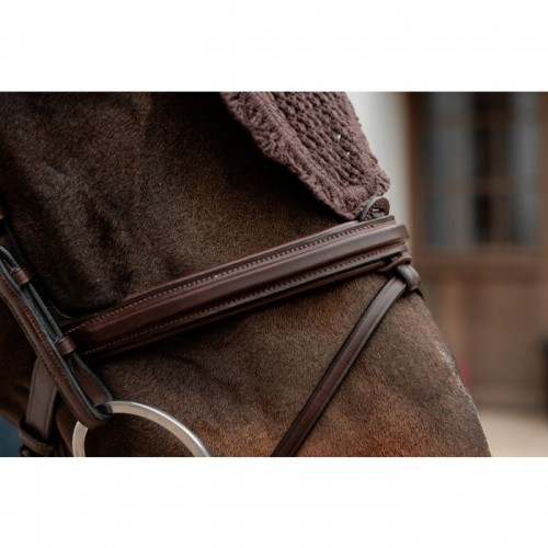 Kentucky Fly Veil Long Soundless