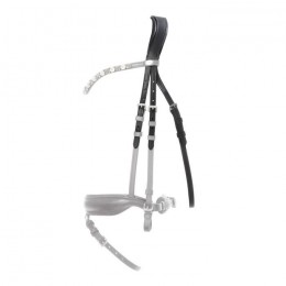 Kavalkade Anatomical Headpiece