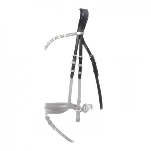 Kavalkade Anatomical Headpiece