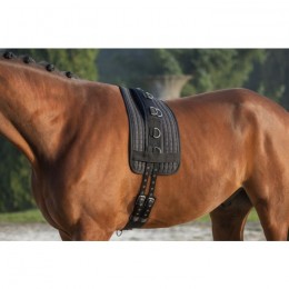 Covalliero Lunging pad