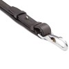 Cavalcade Martingale Azriel