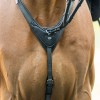 Cavalcade Martingale Azriel